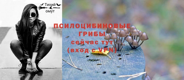 кокс Богородск