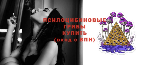 скорость Богородицк