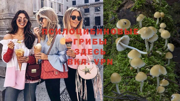 MESCALINE Богданович