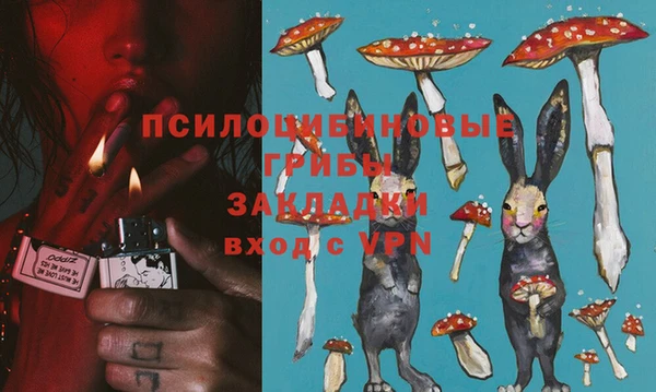 кокс Богородск
