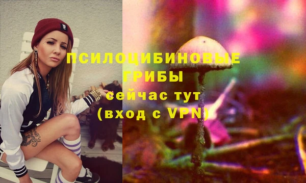 скорость Богородицк